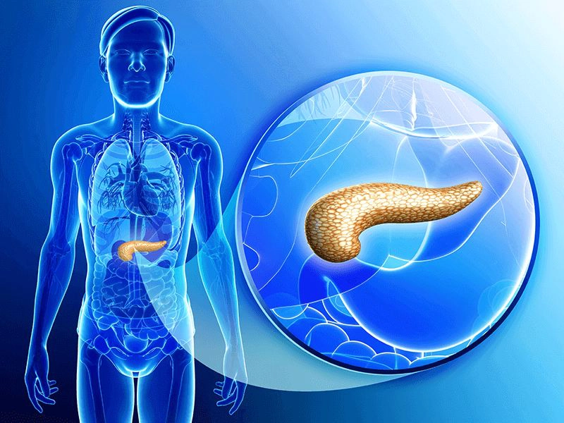 Treatment for Acute Pancreatitis - Sakra World Hospital