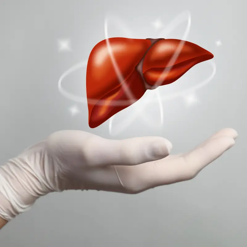 Facts on Liver Transplant Surgery & Procedure