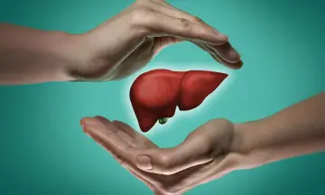 Liver Transplant: What You Should know