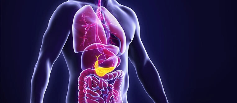 Blog on Pancreas by Dr. Sadiq Sikora - Best GI Cancer Surgeon in Bangalore