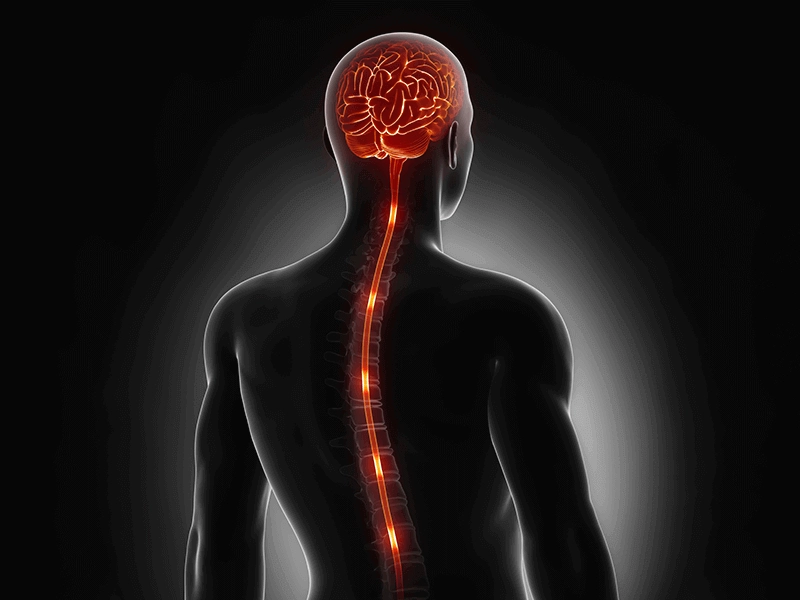 Neuromodulation | Treatment for Chronic Neuropathic Pain - Sakra World Hospital