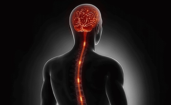 Neuromodulation | Treatment for Chronic Neuropathic Pain - Sakra World Hospital