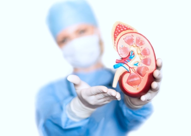  Best Nephrology Hospital in Bangalore 