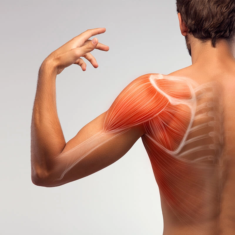 best shoulder specialists in bangalore