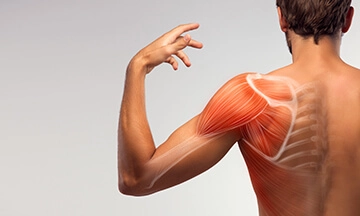 best shoulder specialists in bangalore