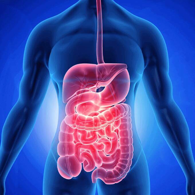 COVID-19 affects the gastrointestinal system