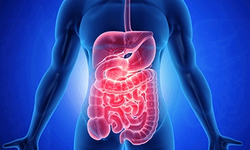 COVID-19 affects the gastrointestinal system