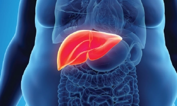 fatty liver treatment ,fatty liver disease symptoms