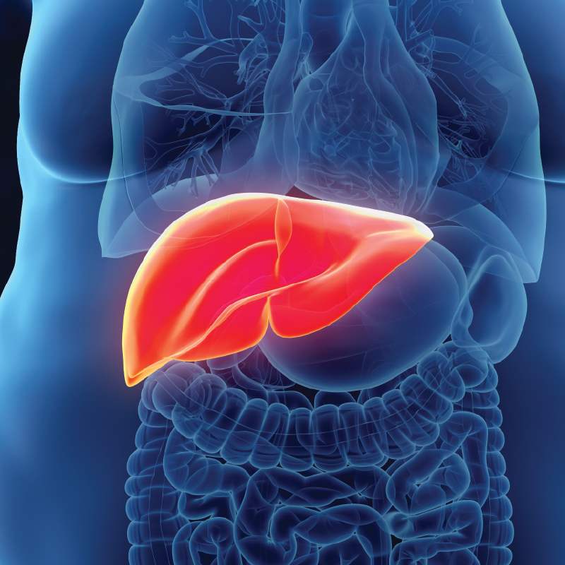 fatty liver treatment ,fatty liver disease symptoms